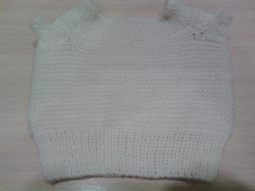 Как связать свитер собаке среднего размера. Кофта для собаки