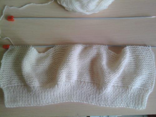 Как связать свитер собаке среднего размера. Кофта для собаки