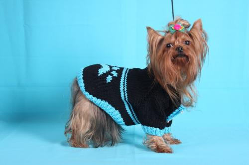 Как связать одежду для маленькой собачки. Пошаговое описание процесса: 14