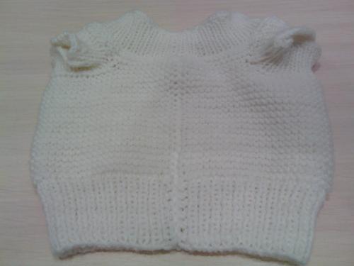 Как связать свитер собаке среднего размера. Кофта для собаки