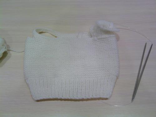 Как связать свитер собаке среднего размера. Кофта для собаки