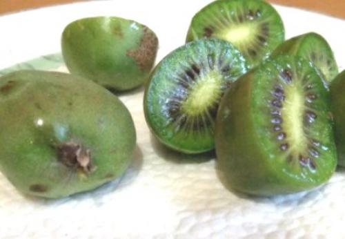 Компот из актинидии. Актинидия, что приготовить и заготовить на зиму