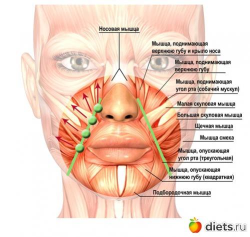 Как избавиться от носогубных складок. Как убрать носогубные складки? 04
