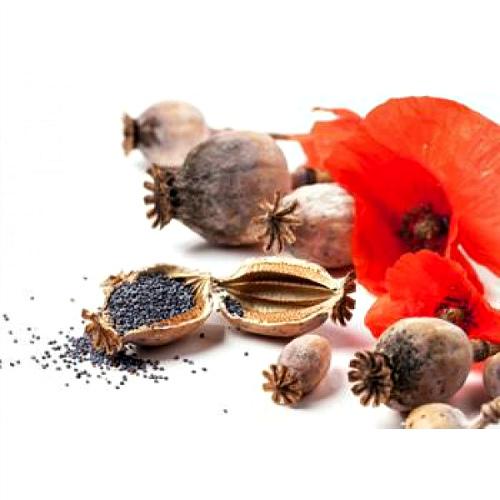 Заговоры Медовый Спас. Обряды на Медовый Спас 2020. Заговоры на удачу, деньги, любовь 08