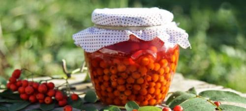Варенье из красной рябины с апельсином. Варенье из красной рябины – простой рецепт