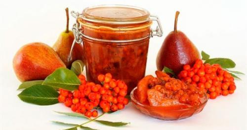 Рябина протертая с медом. Протертая красная рябина с медом. Сочетание мёда и рябины