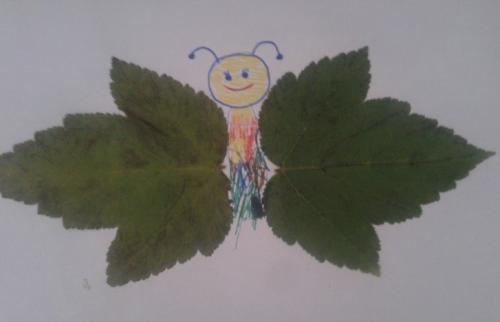 Поделки из листьев на бумаге. Аппликации из осенних листьев для детей детского сада (средняя, старшая группа)