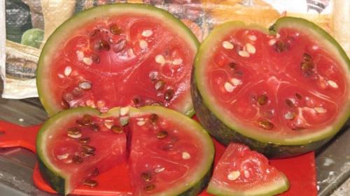 Засолка арбузов в пластиковом ведре. Вкусные рецепты моченых арбузов: в кастрюле, банке и бочке