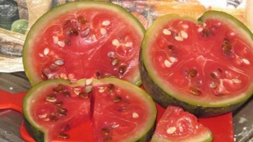 Квашеные арбузы дольками в банке. Простые и быстрые рецепты квашеных арбузов