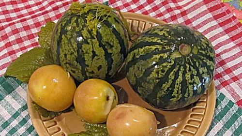 Засолка арбузов в пластиковом ведре. Вкусные рецепты моченых арбузов: в кастрюле, банке и бочке