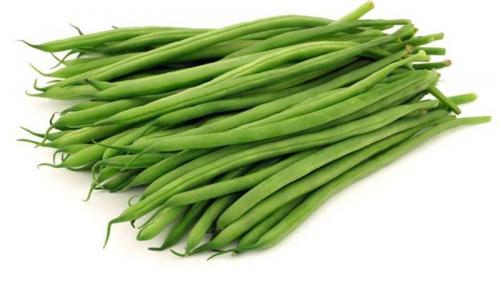 Как долго хранятся салаты из фасоли на зиму в морозильной камере. Готовимся к зиме: как заморозить фасоль, сохранив полезные свойства и что из неё потом приготовить