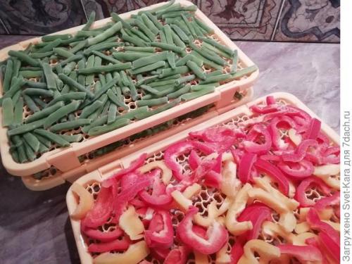 Как правильно заморозить салат из фасоли на зиму. Битва с урожаем спаржевой фасоли. Заморозка