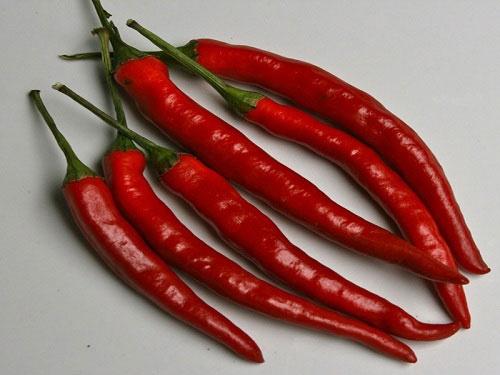 Какие ингредиенты необходимы для приготовления греческой закуски с фасолью на зиму. Салат греческий на зиму