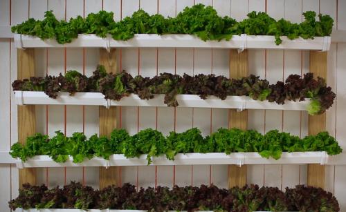 Сохраняйте вкус лета на протяжении всего года с салатом из овощей и фасоли на зиму 10 Сохраняйте вкус лета на протяжении всего года с салатом из овощей и фасоли на зиму 10