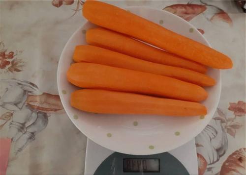 Какие блюда можно приготовить из фасоли на зиму. Фасоль с овощами на зиму в мультиварке