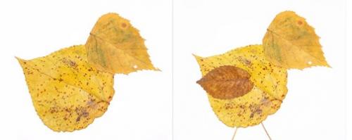 Поделки из листьев на тему осени для детского.. Аппликации из листьев на тему «Осень» для школы и детского сада