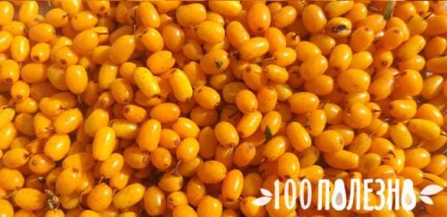 Облепиха с сахаром в блендере на зиму. Облепиха с сахаром на зиму без варки – рецепт вкусной и полезной заготовки