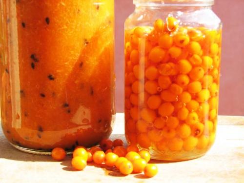 Какие заготовки на зиму можно сделать из облепихи. Облепиха, протертая с сахаром для заготовки на зиму без варки