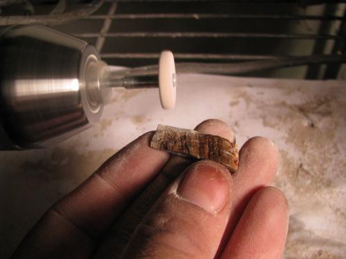 Как очистить ракушку до перламутра. Как полировать ракушки для украшений и рукоделия