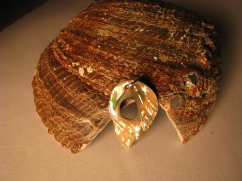 Как очистить ракушку до перламутра. Как полировать ракушки для украшений и рукоделия