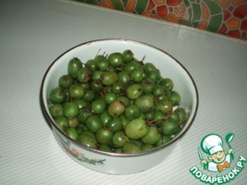 Можно ли замораживать актинидию. Актинидия на зиму