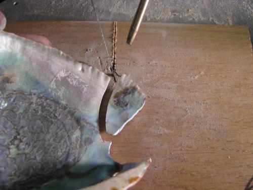 Как очистить ракушку до перламутра. Как полировать ракушки для украшений и рукоделия