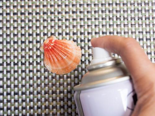 Как отмыть ракушки от запаха. Как очистить ракушки с моря, чем отмыть, чтобы избавиться от морского запаха