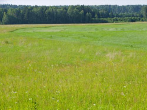 Сентябрь в русском народном календаре. Русский земледельческий календарь (Месяцеслов) 05