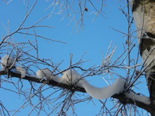 Сентябрь в русском народном календаре. Русский земледельческий календарь (Месяцеслов) 12
