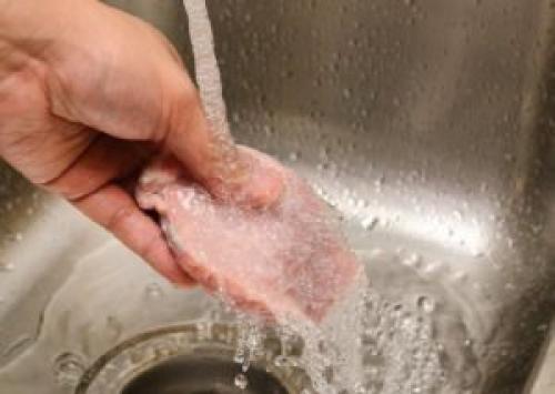 Как обработать ракушки с моря для аквариума. Подготовка к использованию