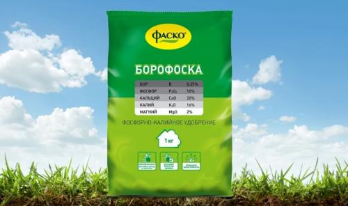 Как реанимировать огурцы на грядке. Народные средства от пожелтения листьев огурцов 05