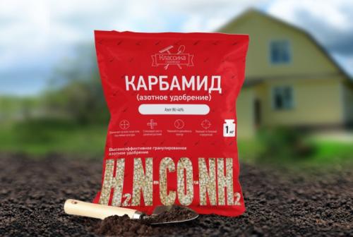 Как реанимировать огурцы на грядке. Народные средства от пожелтения листьев огурцов 04