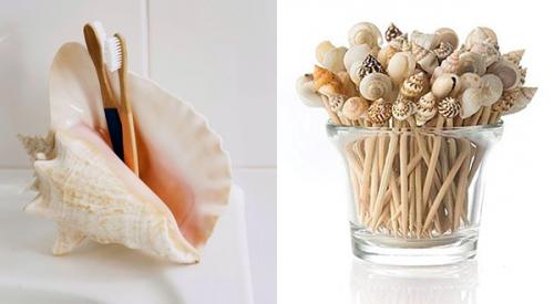 Как очистить ракушки для поделок. Обработка ракушек перед началом творчества