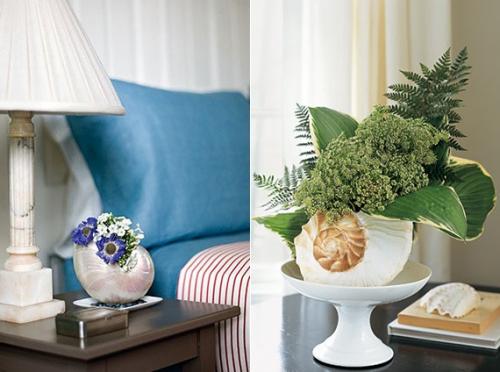 Как очистить ракушки для поделок. Обработка ракушек перед началом творчества