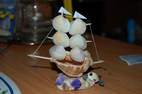 Как морскую раковину очистить. Как придать блеск 08 Как морскую раковину очистить. Как придать блеск 08