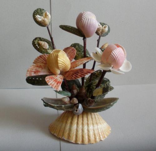 Как морскую раковину очистить. Как придать блеск 10 Как морскую раковину очистить. Как придать блеск 10