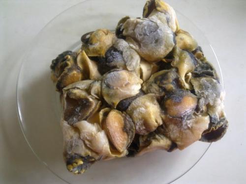 Как приготовить рапаны. Рапаны. Рецепты приготовления в сливочном, томатном соусе, сметане с луком, овощами