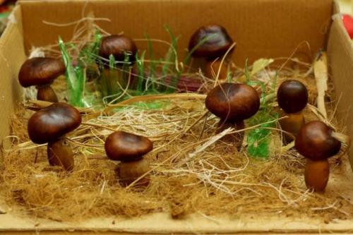 Фигурки из желудей своими руками. Поделка из желудей своими руками: мастер-класс для детей, способы изготовления поделки, подробные схемы работы своими руками + фото оригинальных идей