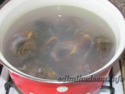 Рапаны тушеные. Рапаны в сметане с луком