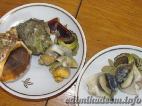 Рапаны тушеные. Рапаны в сметане с луком