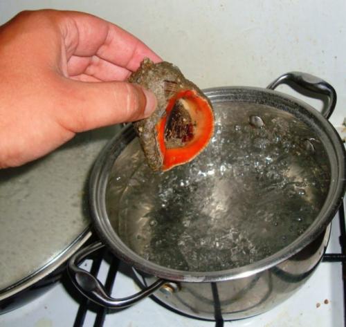 Как приготовить замороженные рапаны. Готовим рапаны правильно, чтобы они были мягкими и нежными