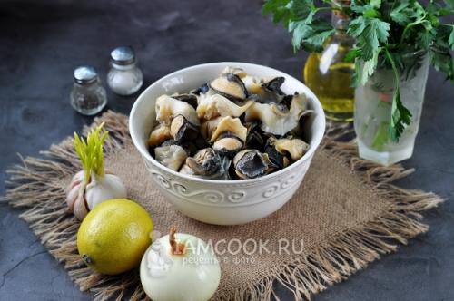 Как и сколько варить рапаны в ракушке и без ракушки. Как варить свежие рапаны? 10 Как и сколько варить рапаны в ракушке и без ракушки. Как варить свежие рапаны? 10