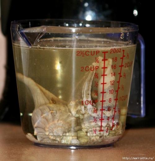 Как отмыть ракушки от известкового налета и избавиться от запаха. Удаление органики 02 Как отмыть ракушки от известкового налета и избавиться от запаха. Удаление органики 02