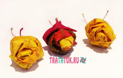 Розы из листьев пошагово. Розы из кленовых листьев своими руками: пошагово с фото