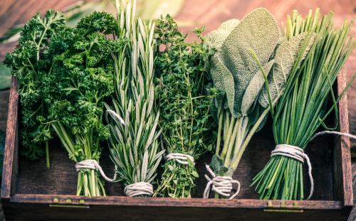 Какие продукты могут очищать организм от токсинов Какие продукты могут очищать организм от токсинов