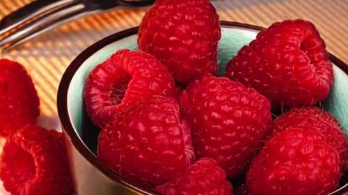 Какой климат подходит для выращивания малины Генералиссимус