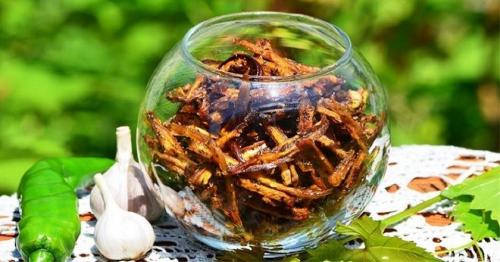 А вы сушили баклажаны? 5 причин попробовать А вы сушили баклажаны? 5 причин попробовать